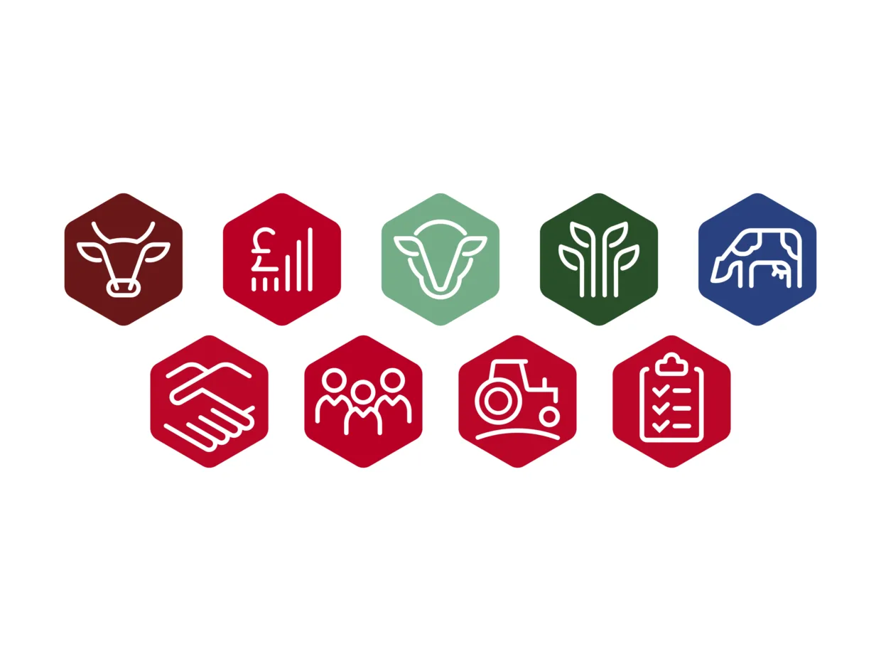 Sum-It corporate identity icon suite