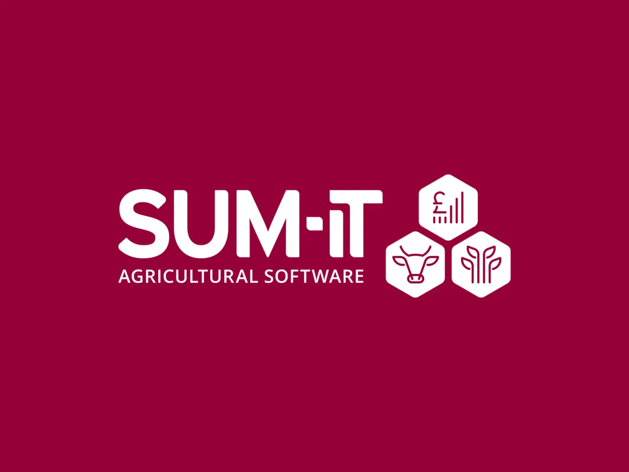Sum-It alternative logo design
