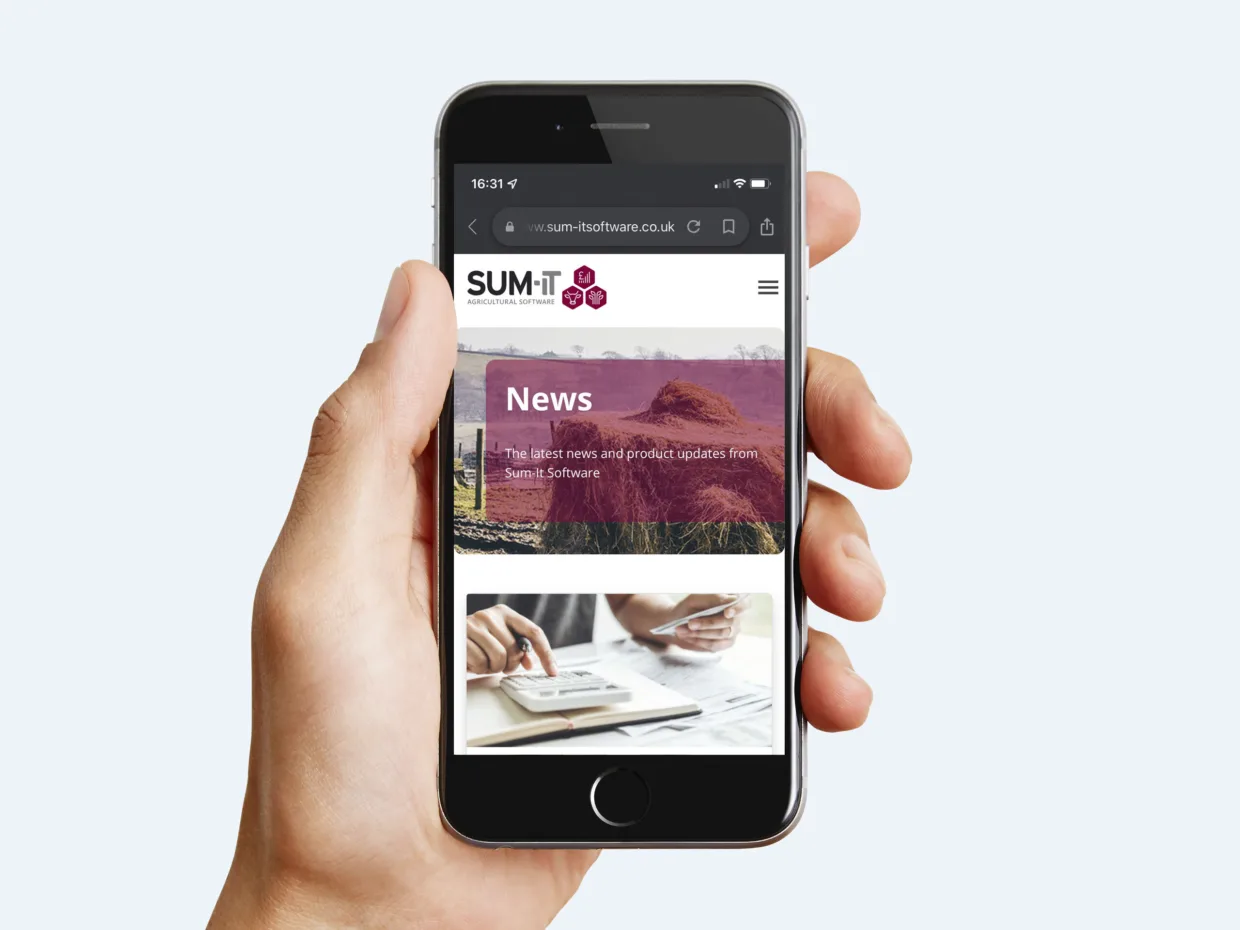 Sum IT website design i Phone