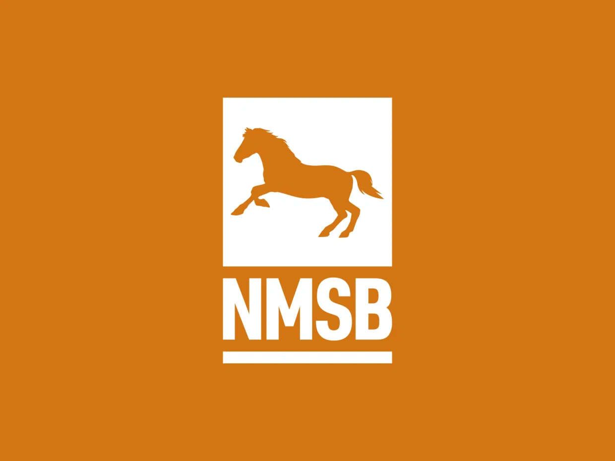 NMSB corporate identity design