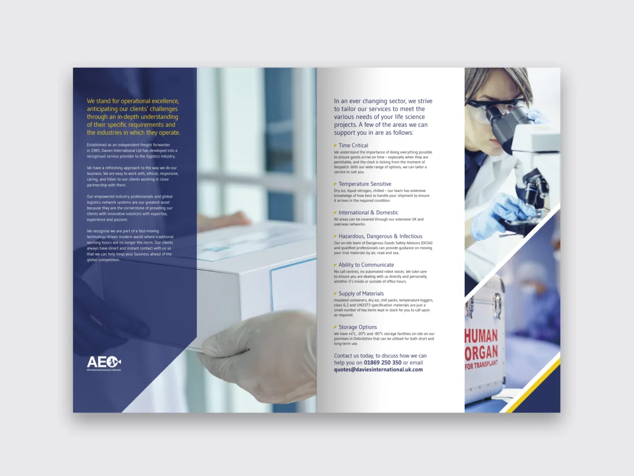 Brochure design mockup flats Davies