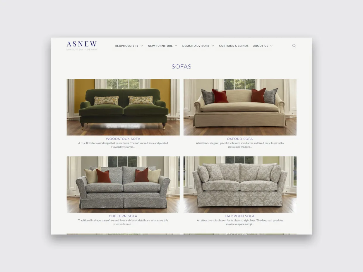 Asnew website design 2
