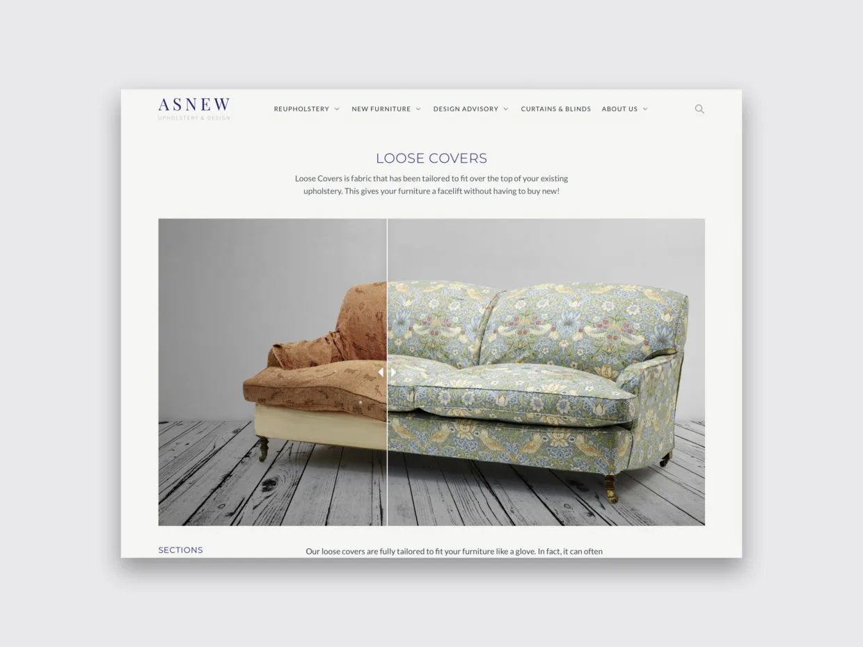 Asnew website design 4