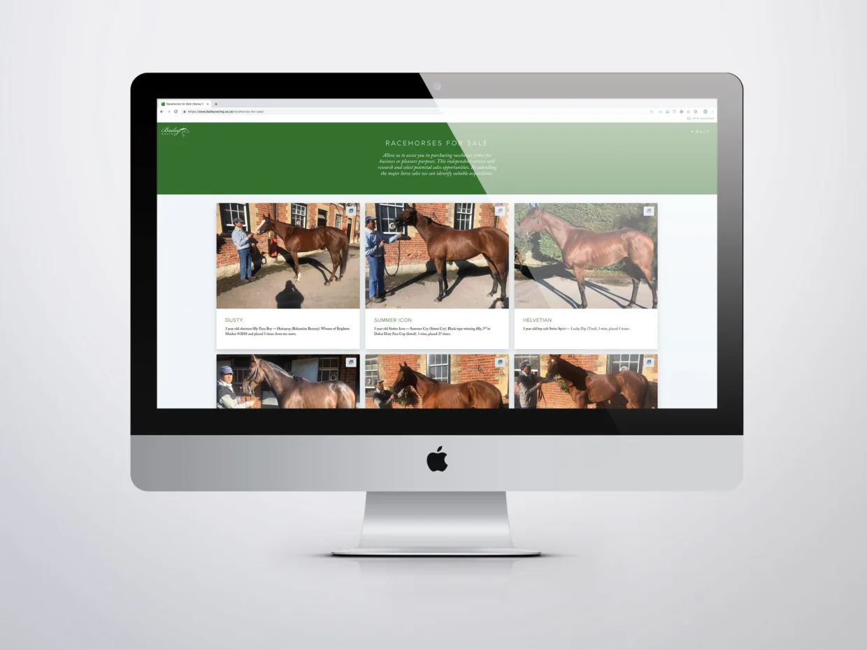 Bailey Racing Website Sales Page