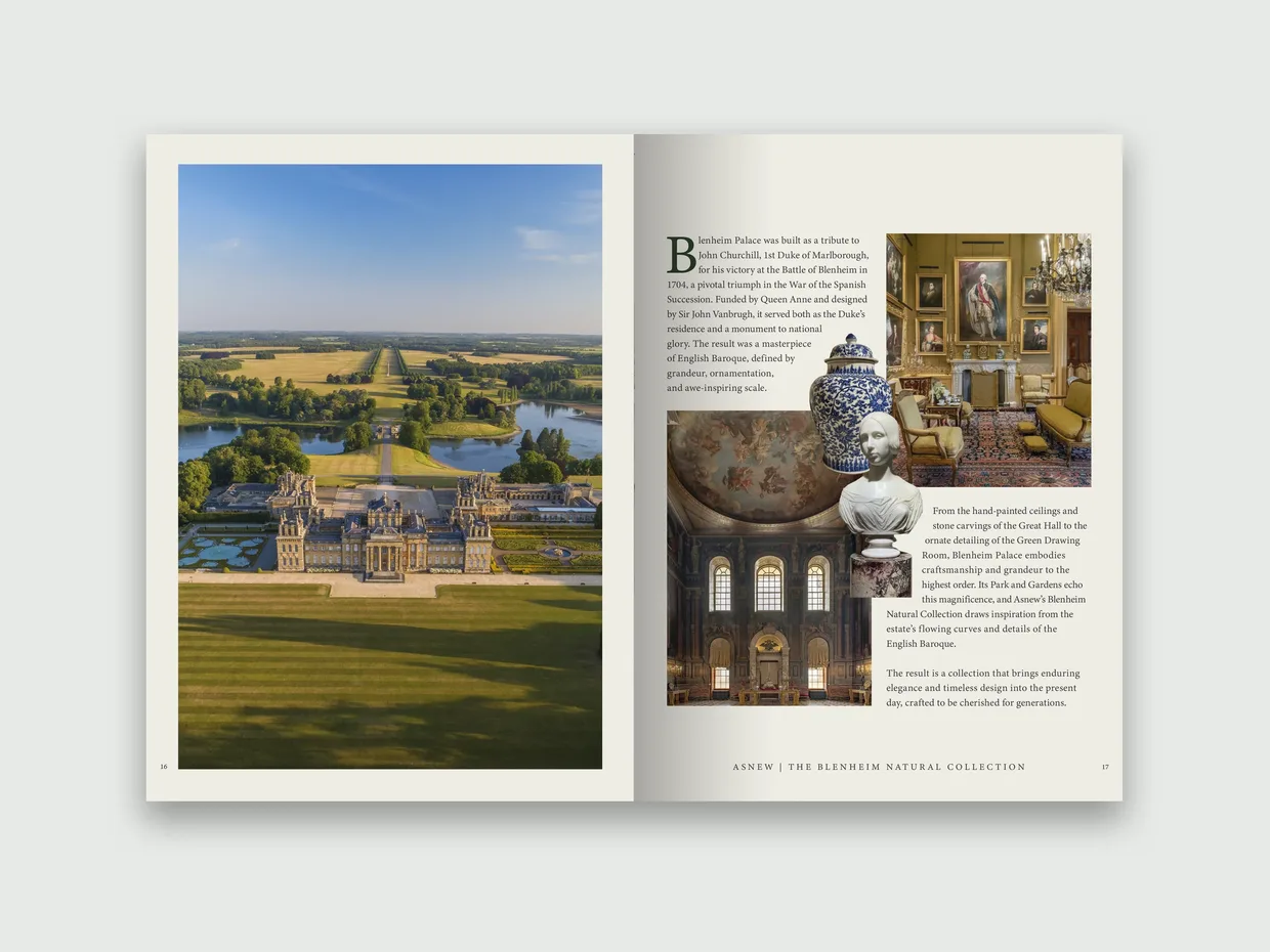 Asnew spread design 2