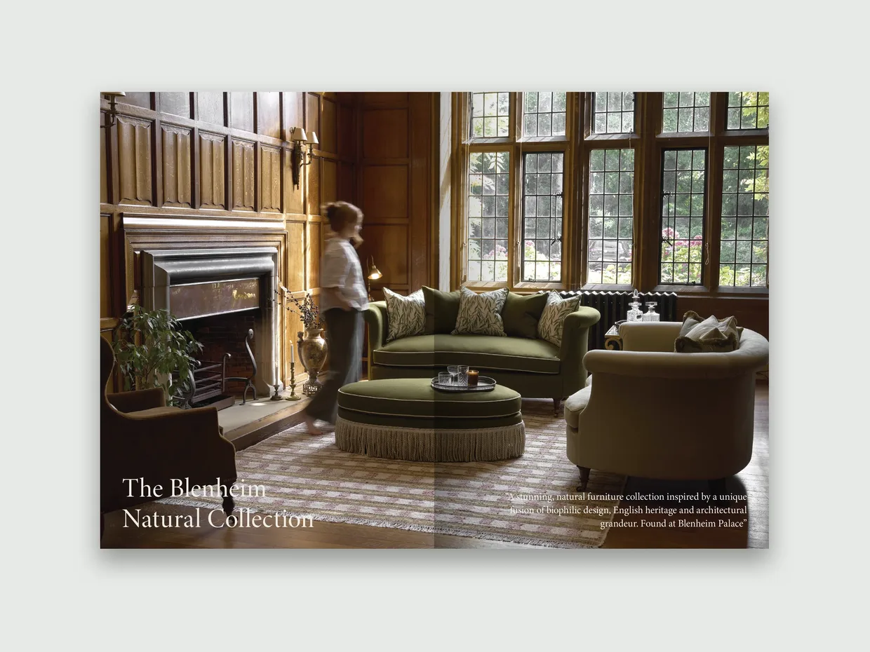 Asnew spread design 3