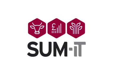 Sum-It new main logo design