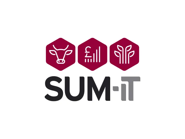 Sum-It new main logo design