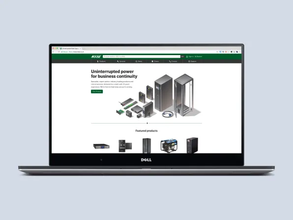 NSSE ecommerce website design