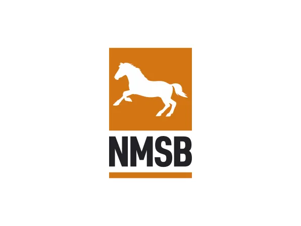 NMSB corporate identity design