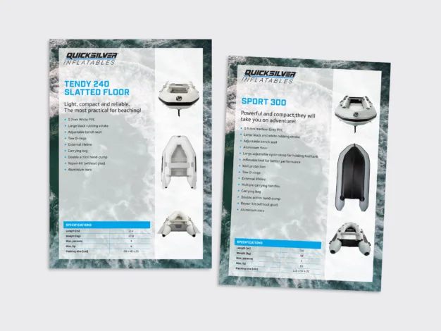 Quicksilver datasheet design